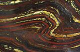 Polished Tiger Iron Stromatolite - ( Billion Years) #92966-1